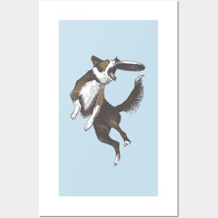 Dog & Frisbee Posters and Art